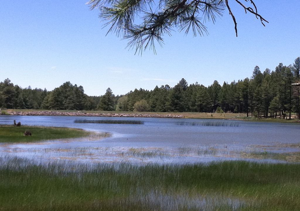Photo of Outdoor in Munds Park