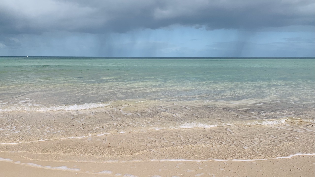 Photo of Others in Port Hughes