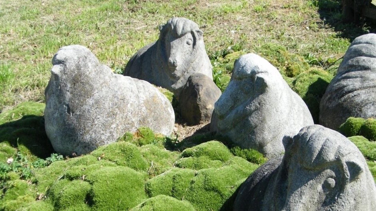 Photo of Others in Te Miro