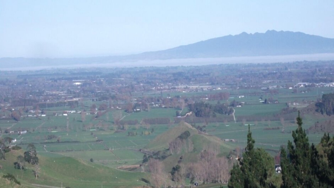 Photo of Others in Te Miro