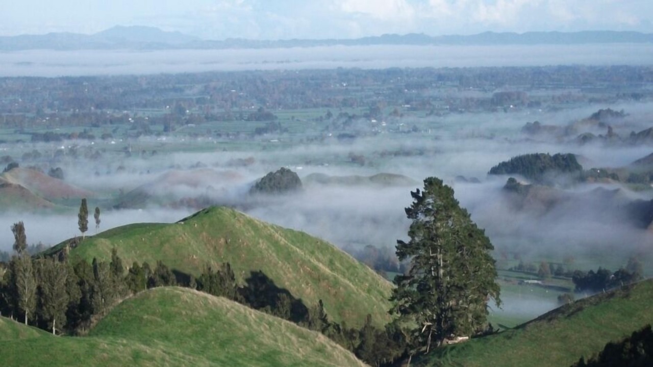 Photo of Others in Te Miro