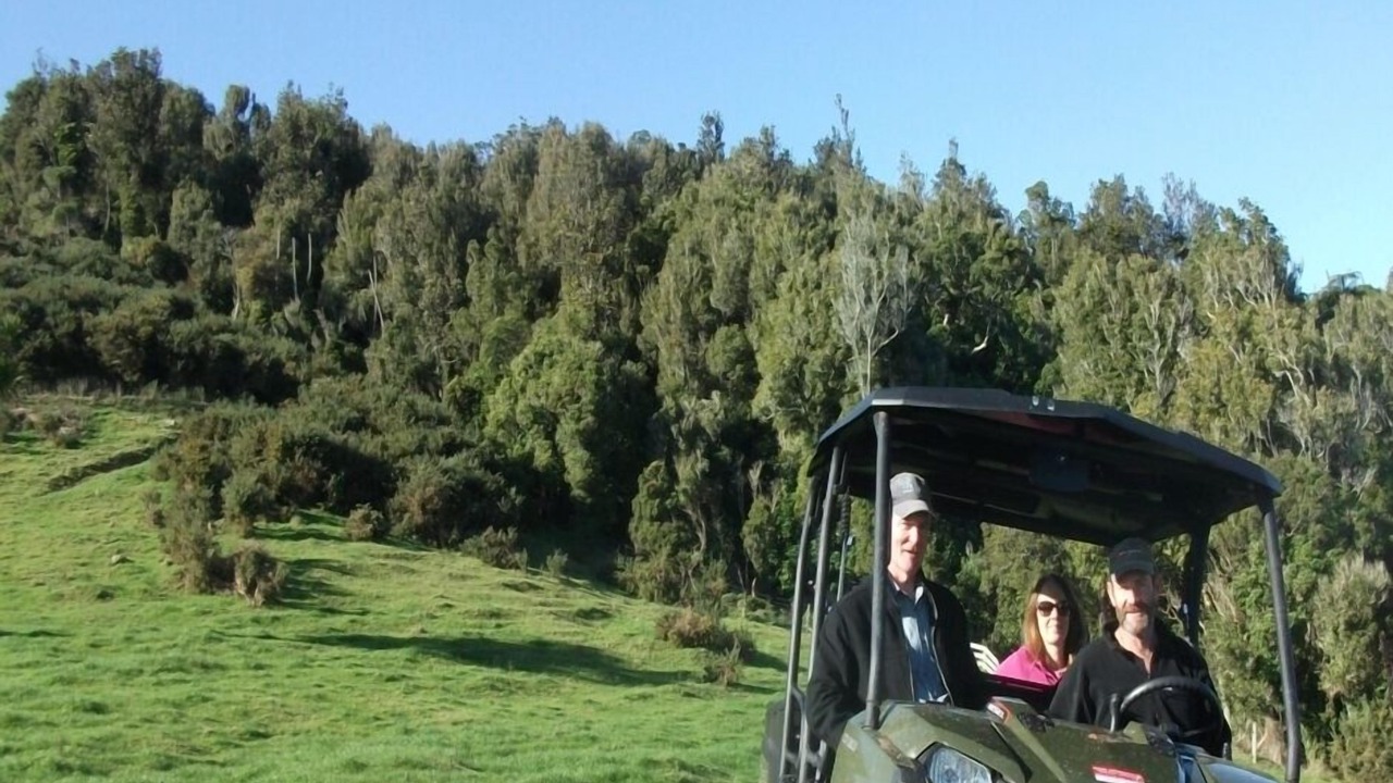 Photo of Others in Te Miro