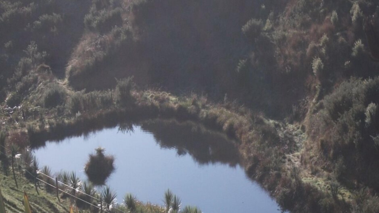 Photo of Others in Te Miro