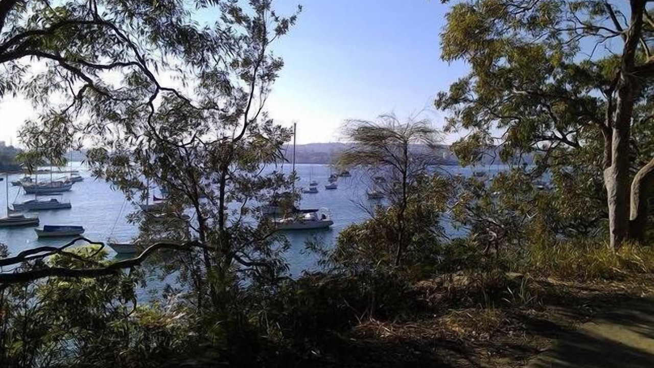 Photo of Others in Balgowlah Heights