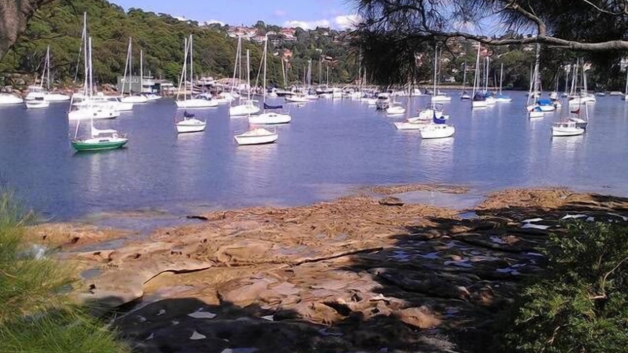 Photo of Others in Balgowlah Heights