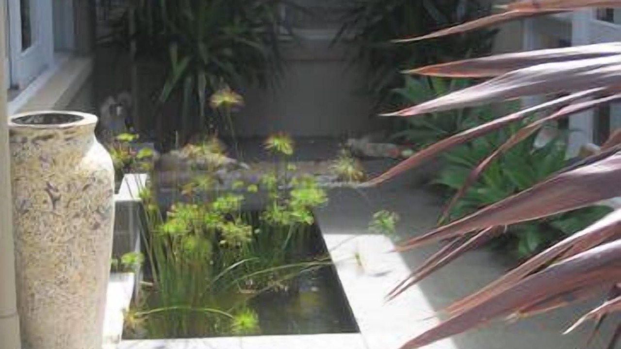 Photo of Others in Balgowlah Heights