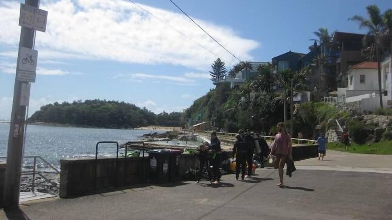 Photo of Others in Balgowlah Heights