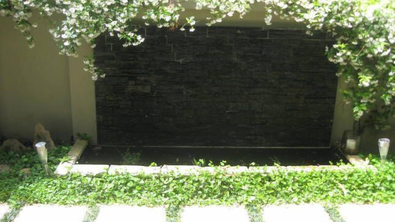 Photo of Others in Balgowlah Heights