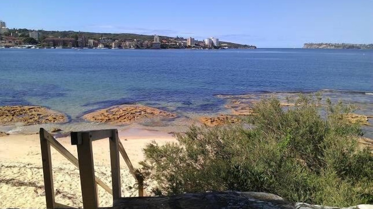 Photo of Others in Balgowlah Heights