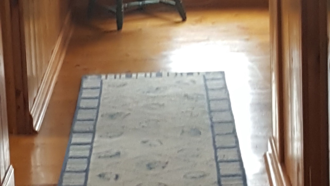 Photo of Others in Wells Beach