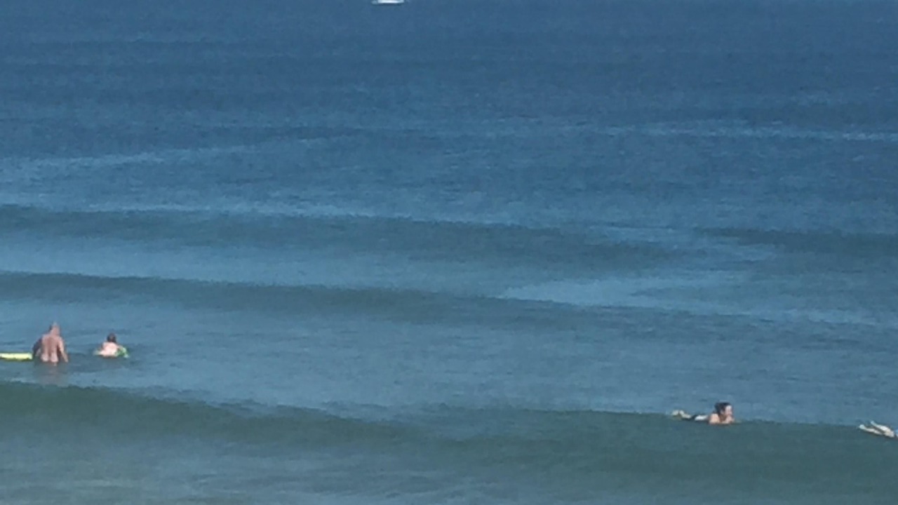 Photo of Others in Wells Beach