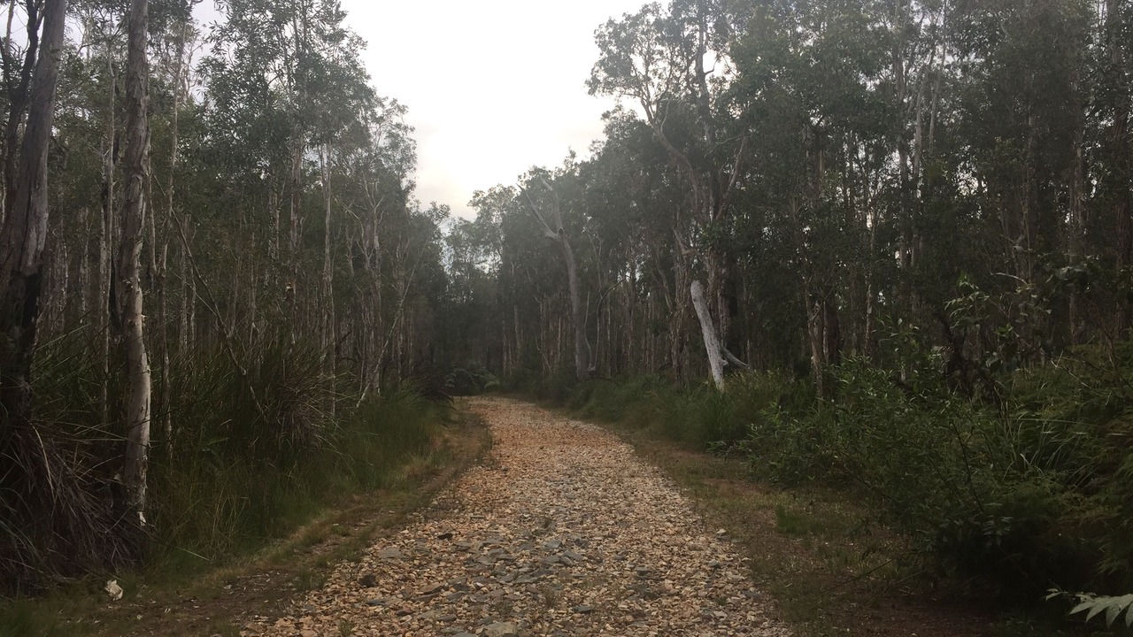 Photo of Others in Brisbane Waterfront