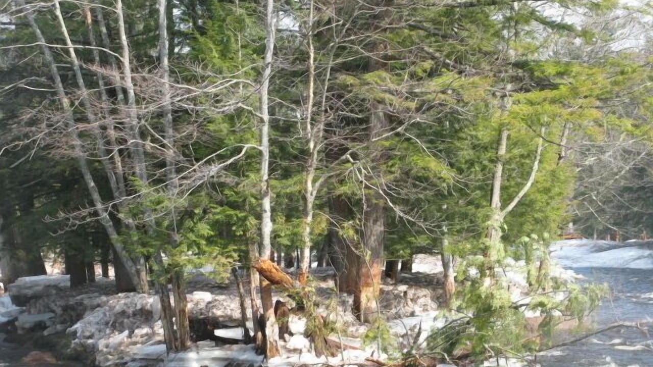 Photo of Others in Wanakena