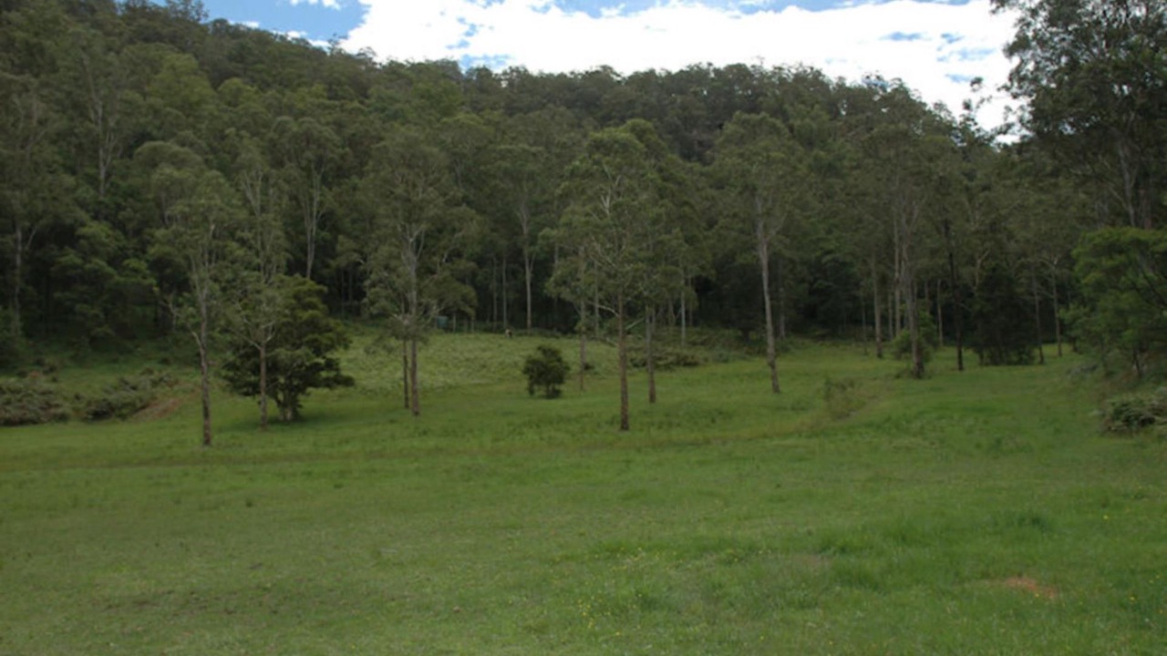 Photo of Outdoor in Laguna