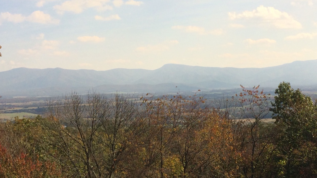 Photo of Others in Luray
