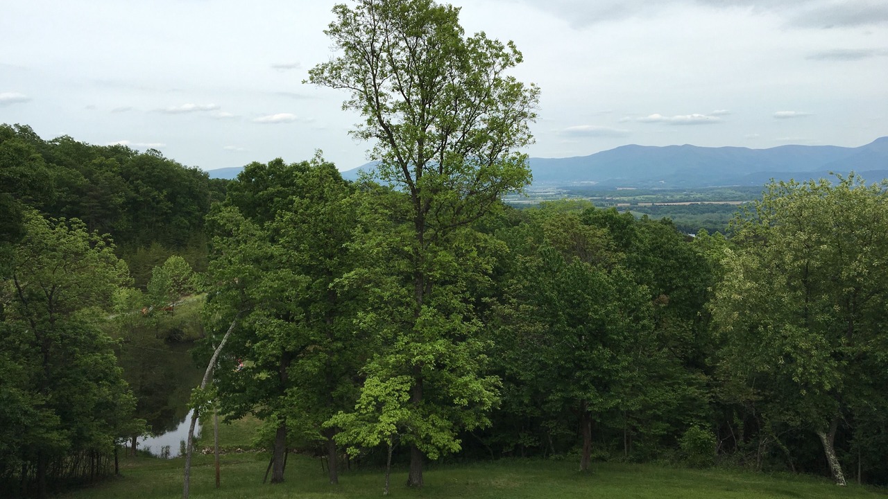 Photo of Outdoor in Luray