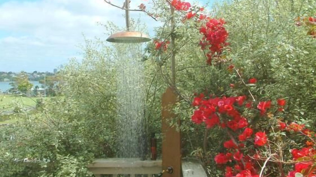 Photo of Others in Stanley Point