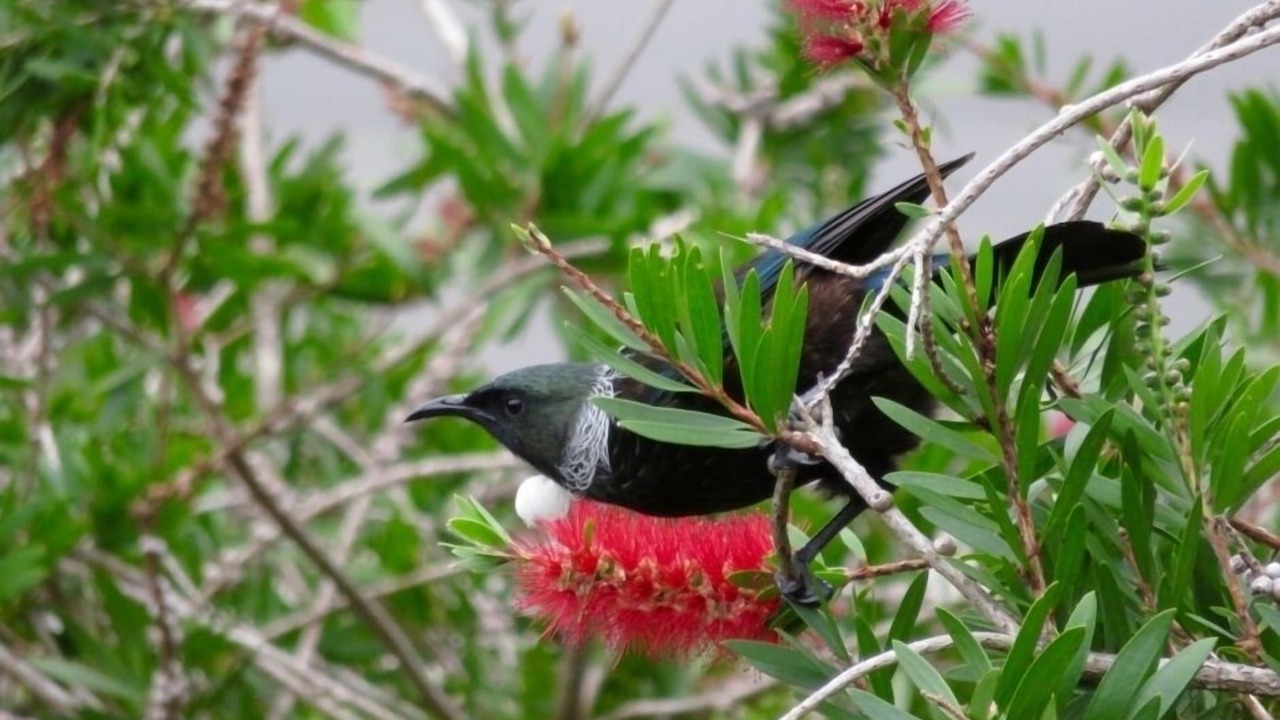 Photo of Others in Stanley Point
