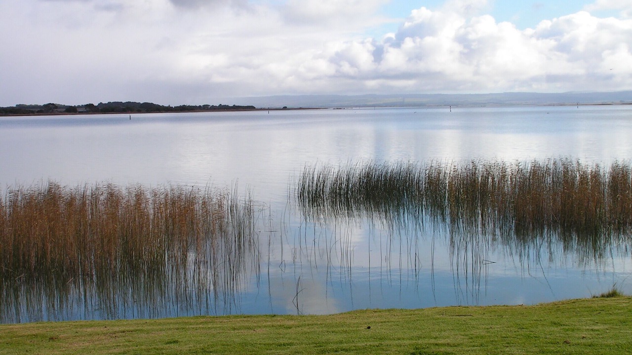 Photo of Others in Alexandrina