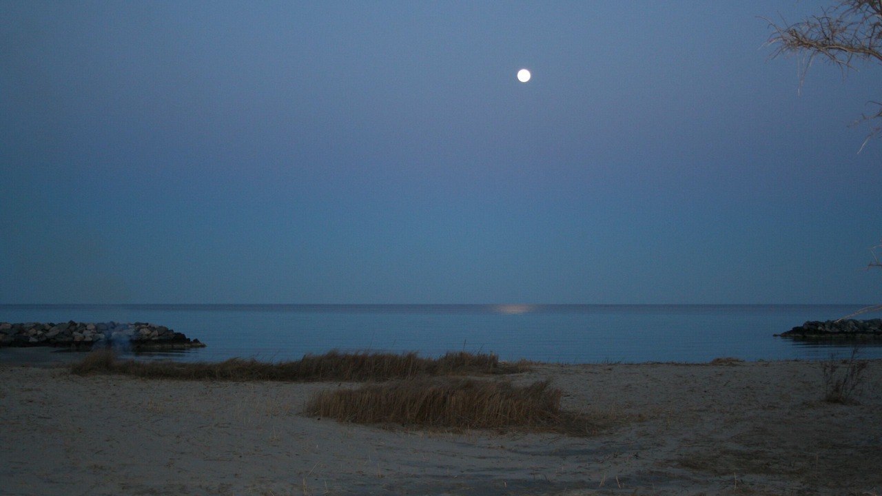 Photo of Others in Windmill Point
