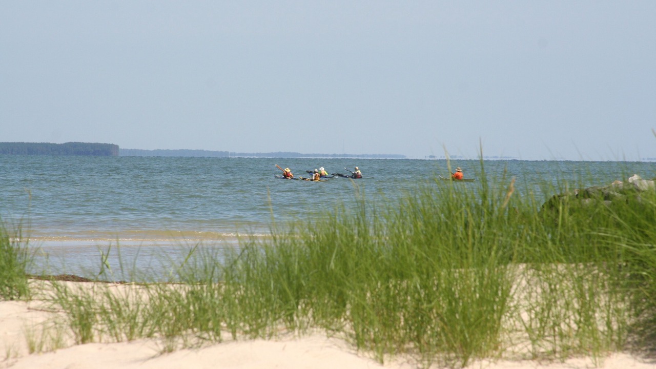 Photo of Others in Windmill Point