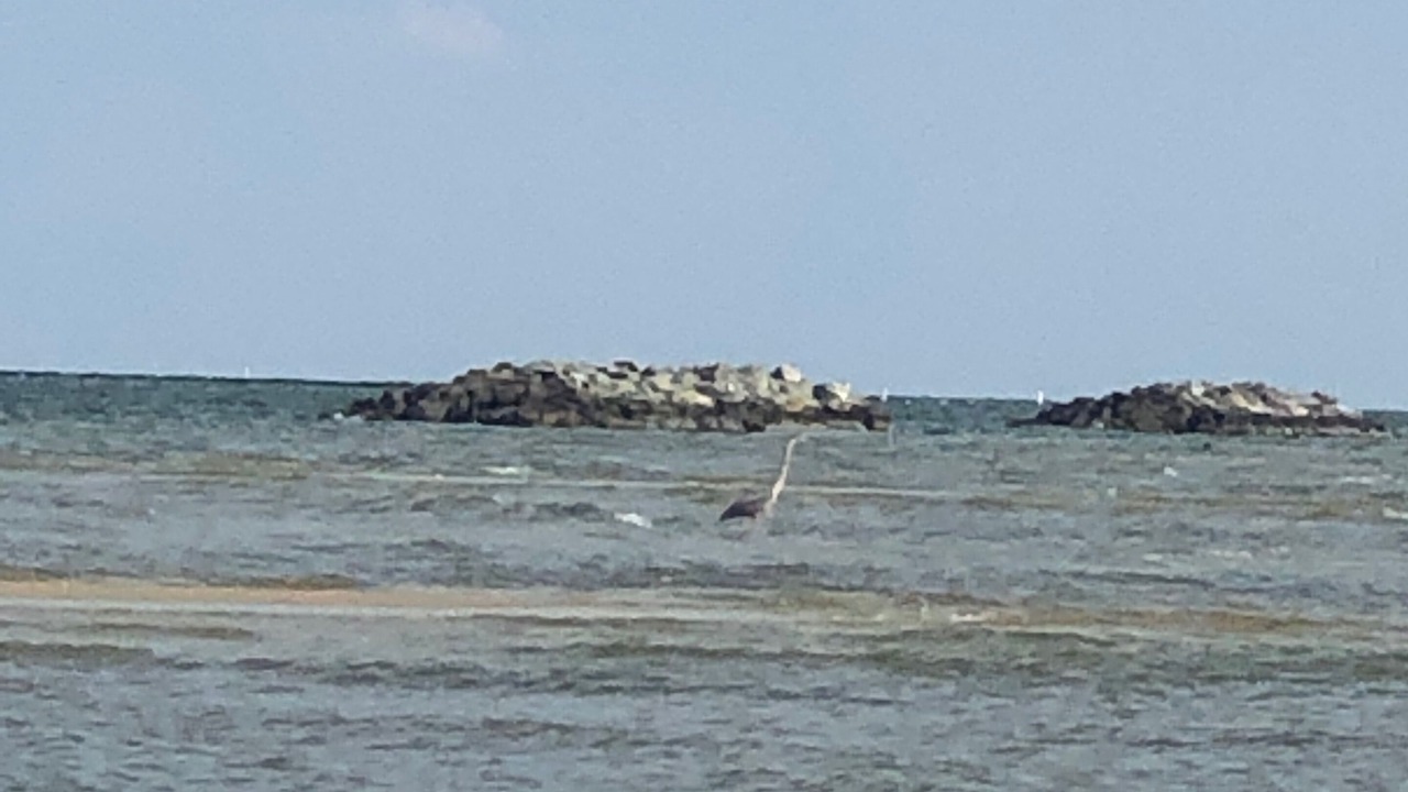 Photo of Others in Windmill Point