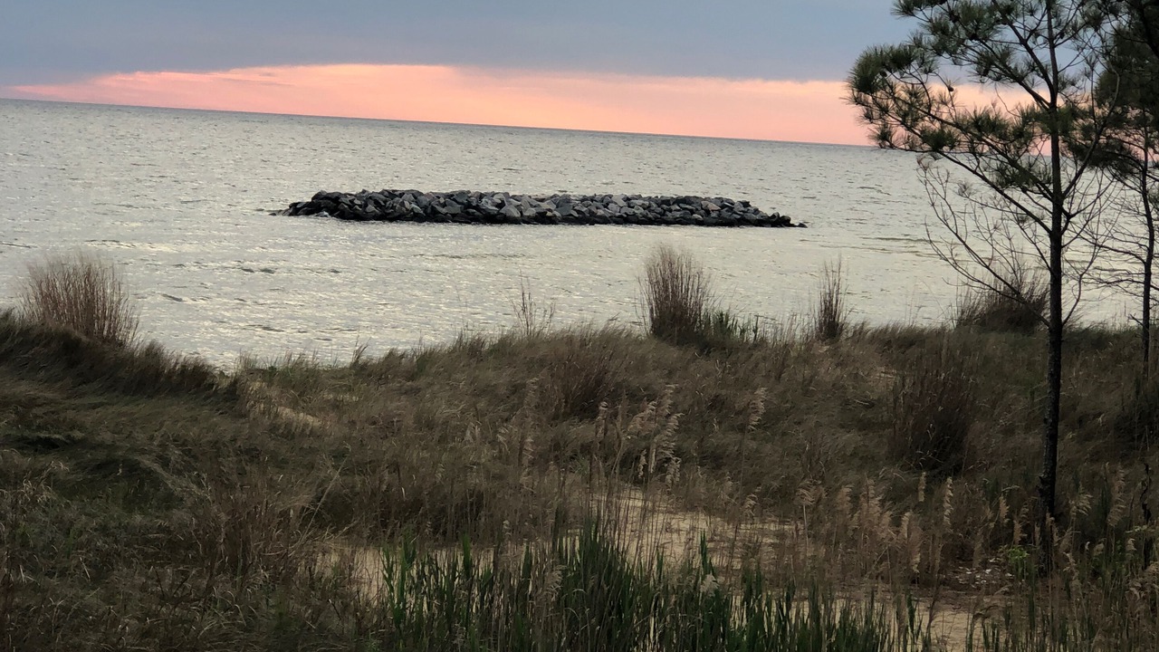 Photo of Others in Windmill Point