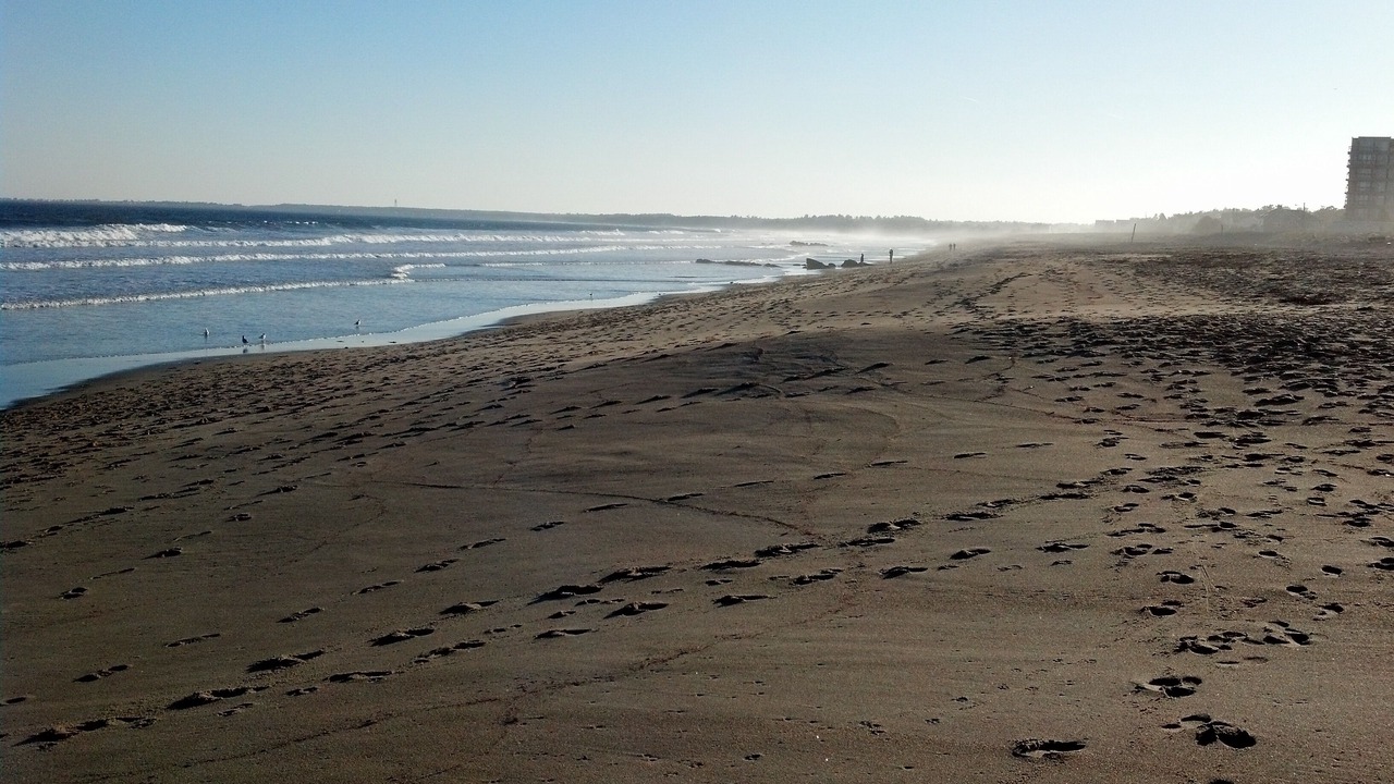 Photo of Others in Ocean Park