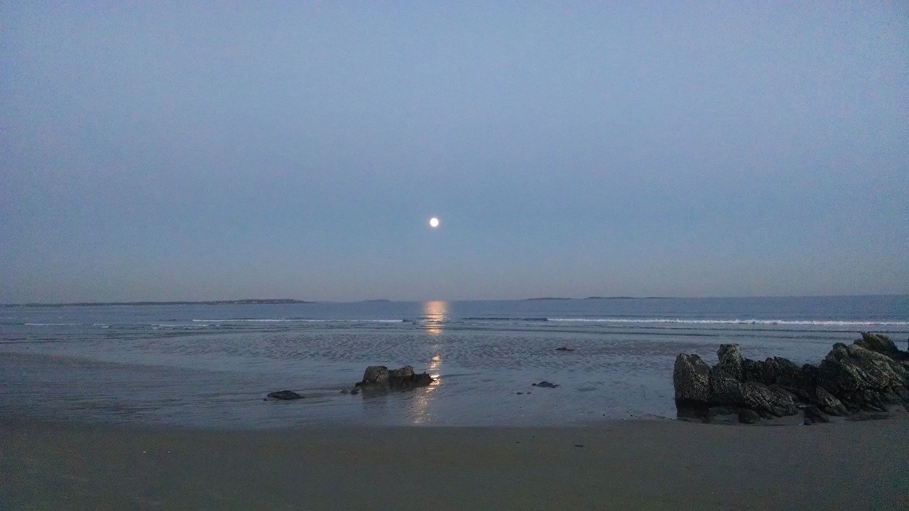 Photo of Others in Ocean Park