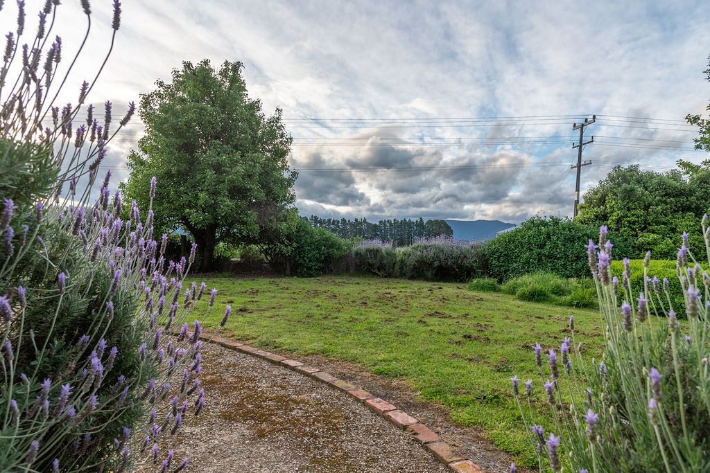 Photo of Outdoor in Greytown