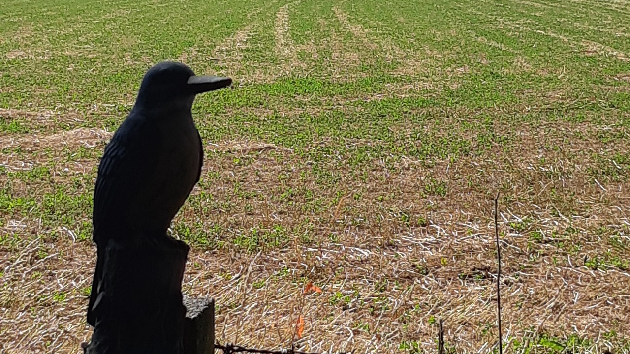 Photo of Others in Greytown