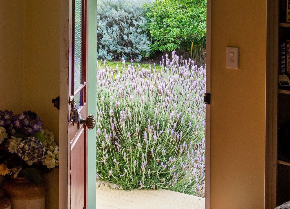 Photo of Others in Greytown