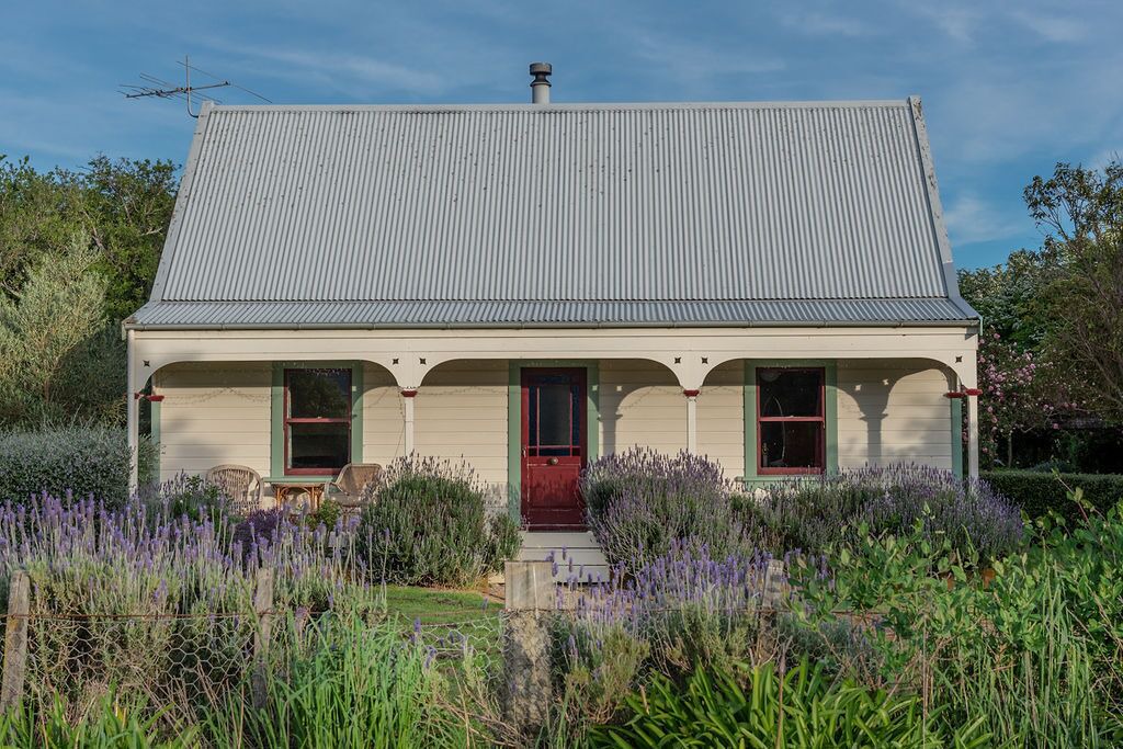 Photo of Outdoor in Greytown