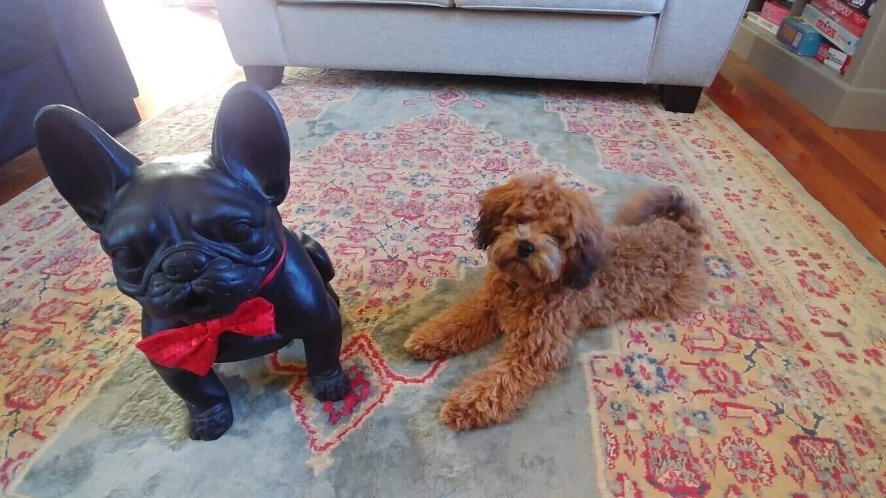 Photo of Others in Greytown