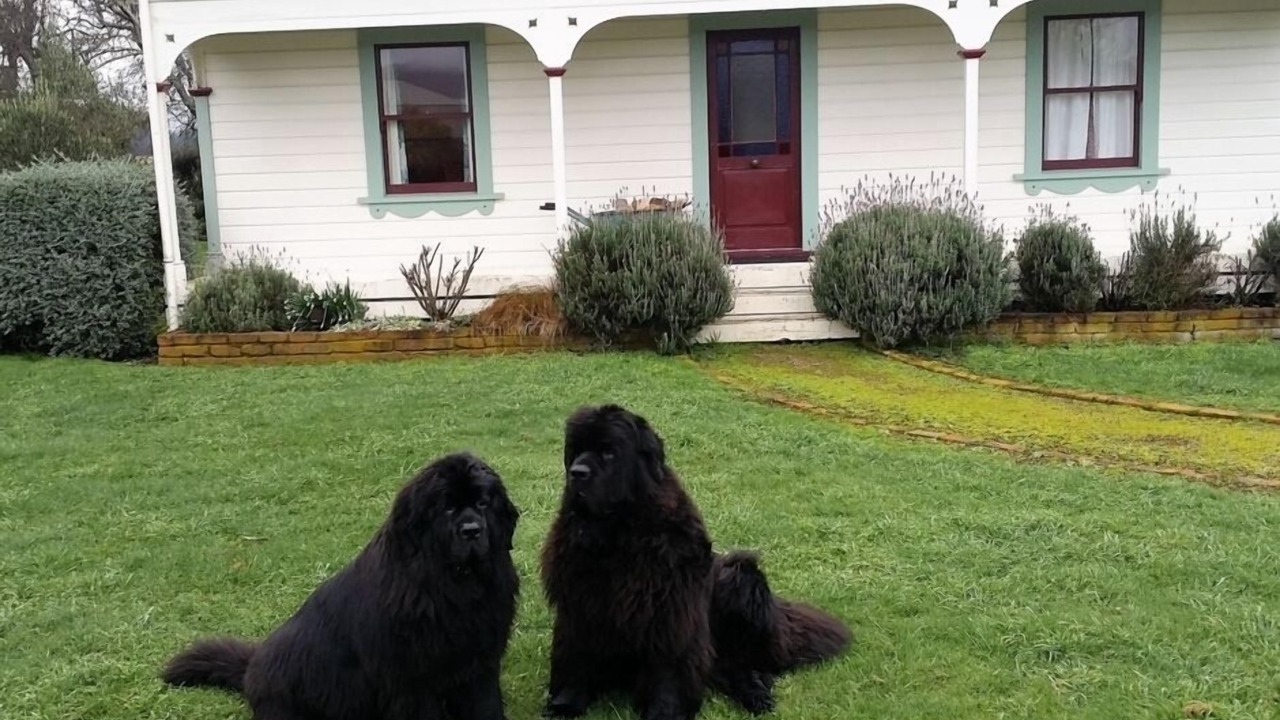 Photo of Others in Greytown