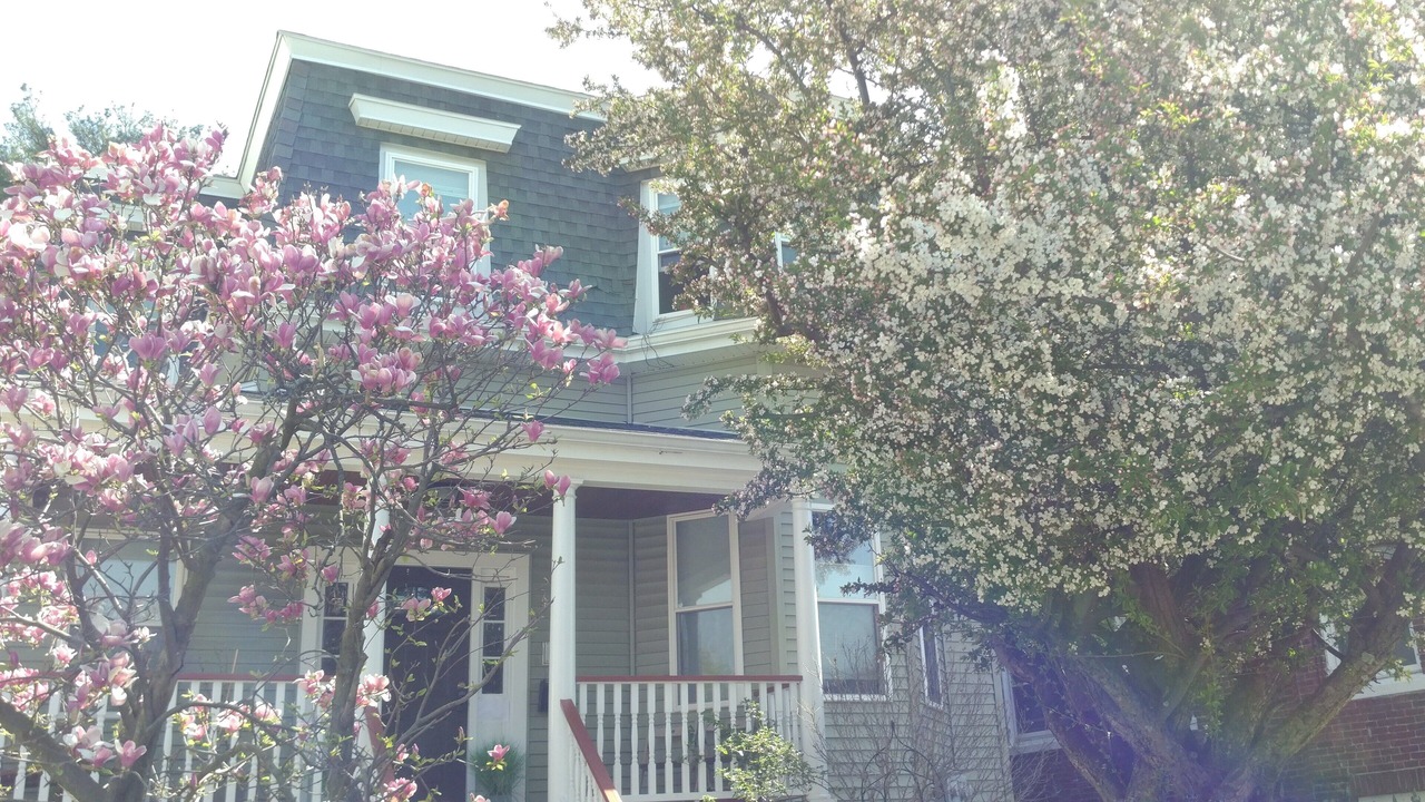 Photo of Others in Egleston Square