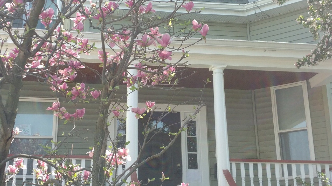 Photo of Outdoor in Egleston Square