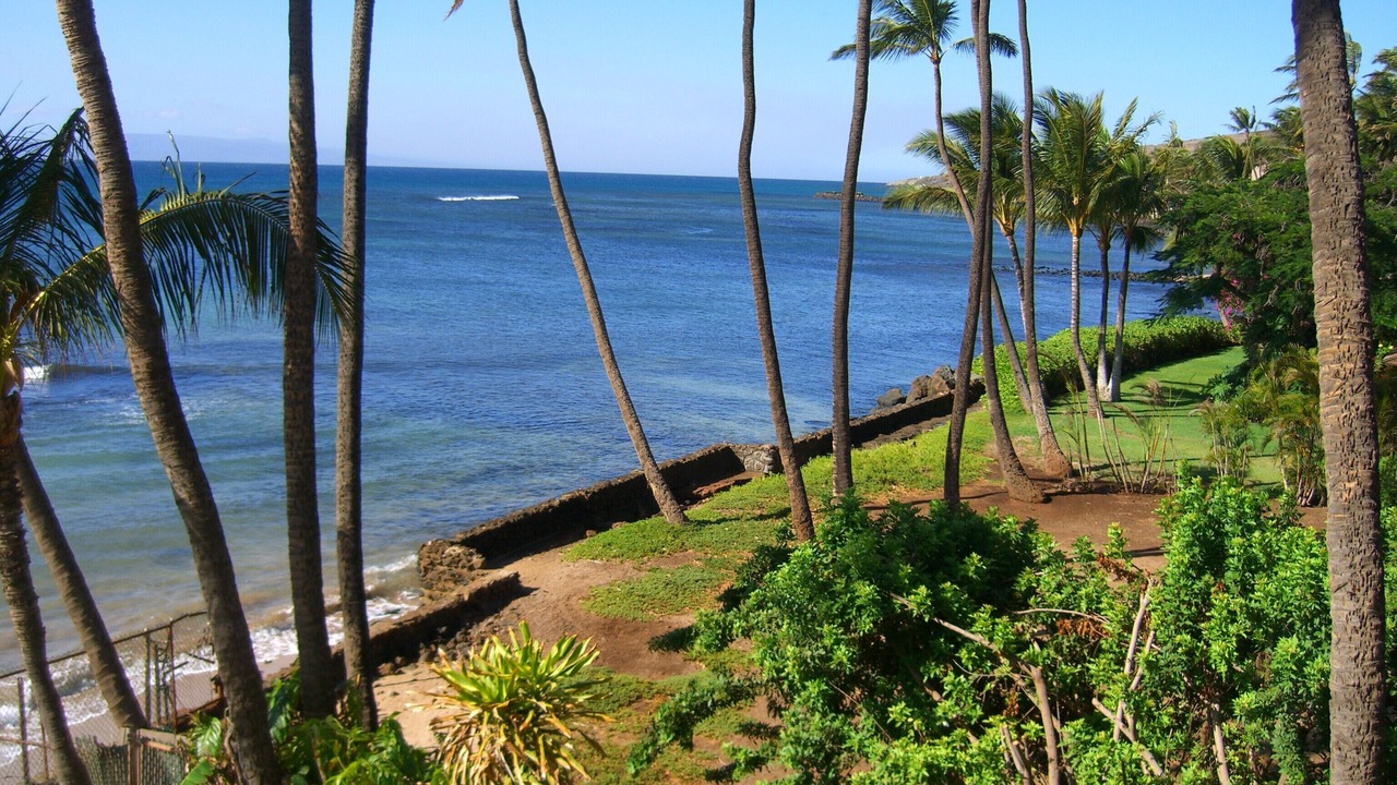 Photo of Others in Maalaea