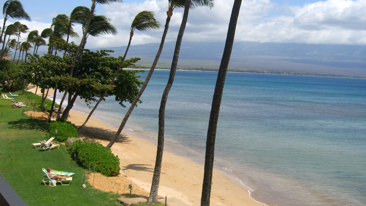 Photo of Others in Maalaea