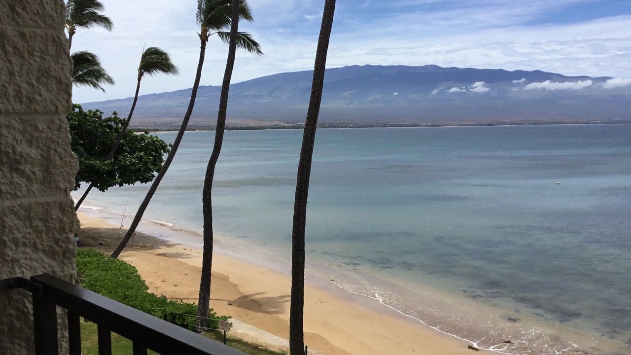 Photo of Others in Maalaea