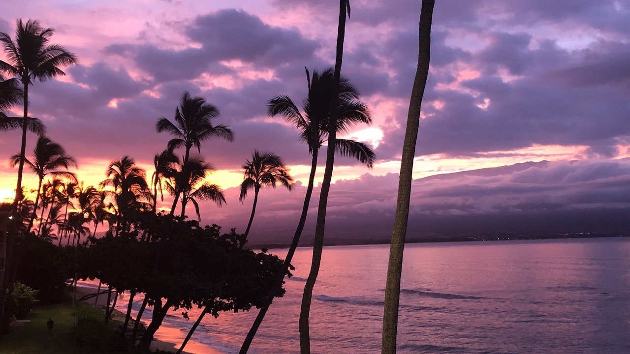 Photo of Others in Maalaea