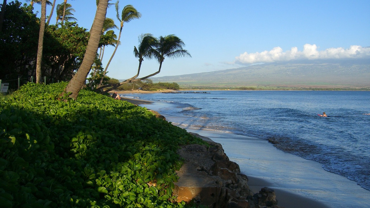 Photo of Others in Maalaea