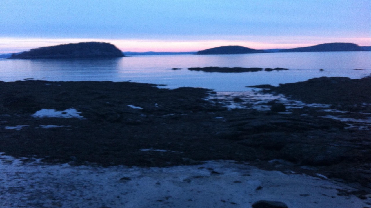 Photo of Others in Bar Harbor
