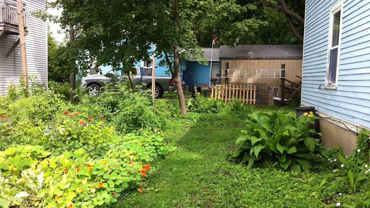 Photo of Outdoor in Bar Harbor