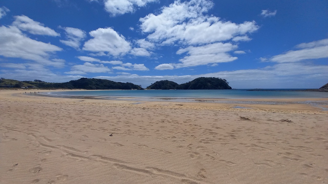 Photo of Others in Matapouri