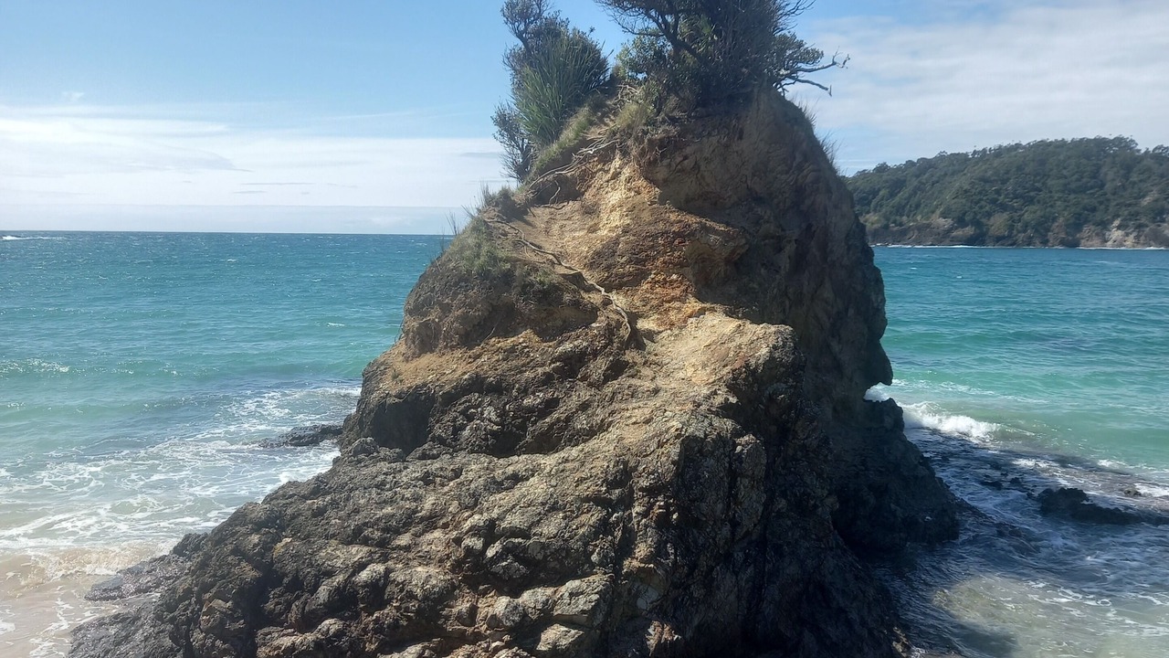 Photo of Others in Matapouri