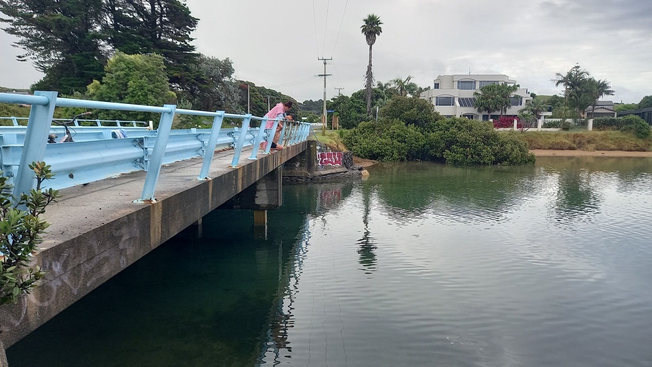 Photo of Others in Matapouri