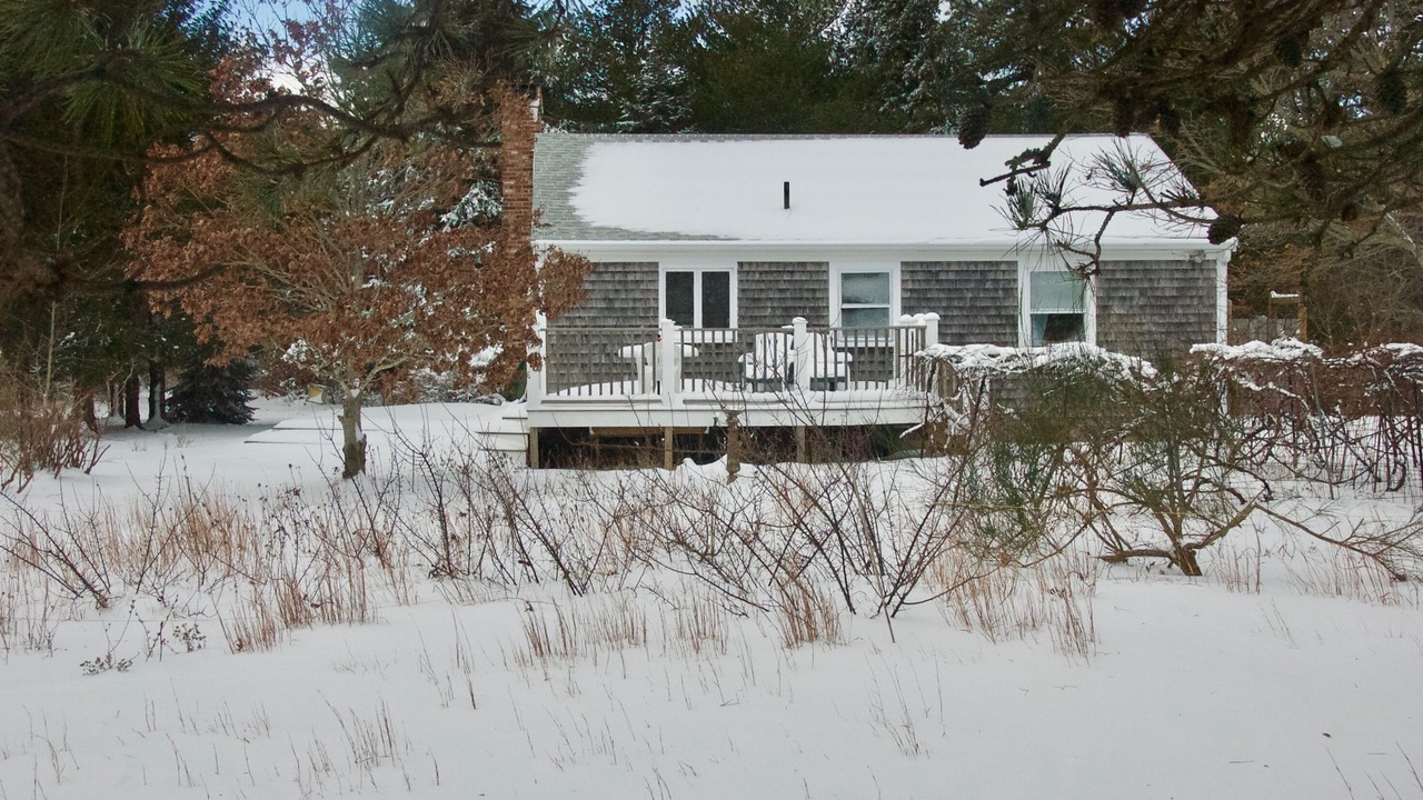 Photo of Others in Truro