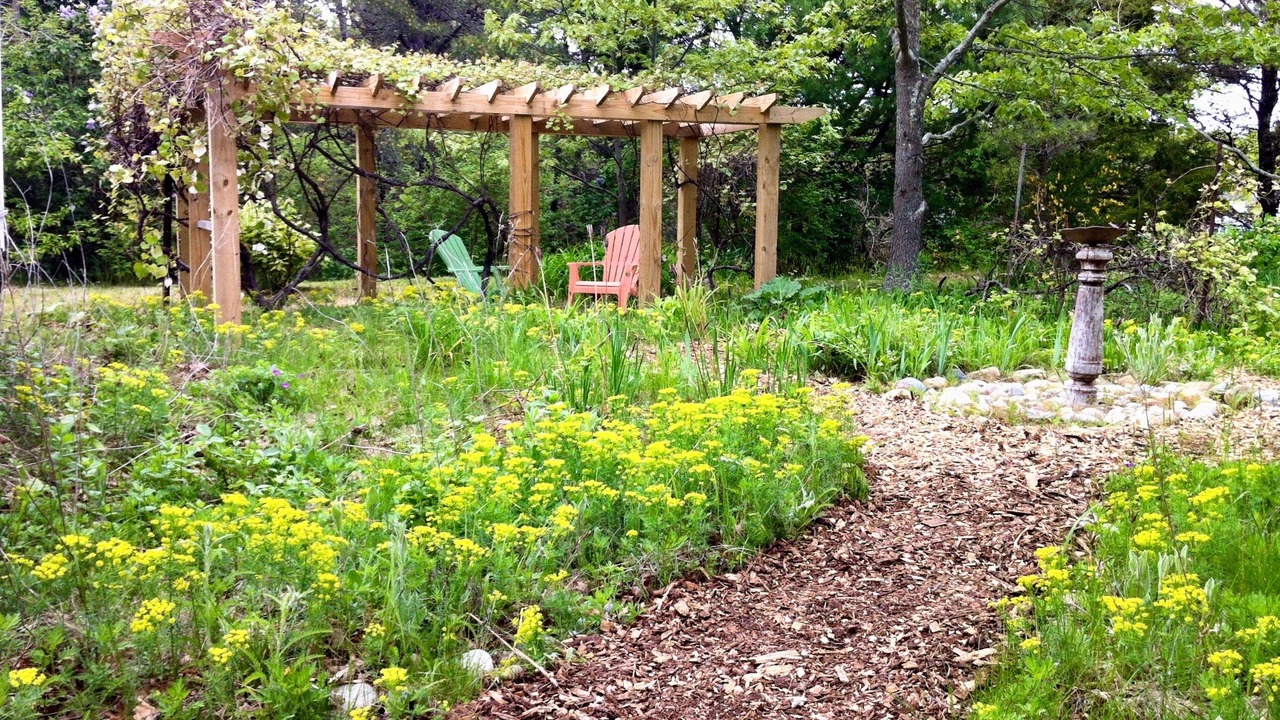 Photo of Others in Truro