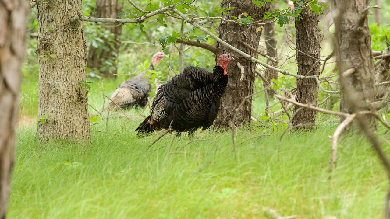 Photo of Others in Truro
